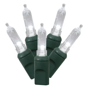 100Lt Pure White LED / Green Wire Italian EC 34 ft.