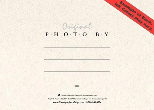 1014 - Natural, Happy Anniversary, Horizontal, set of 10 cards