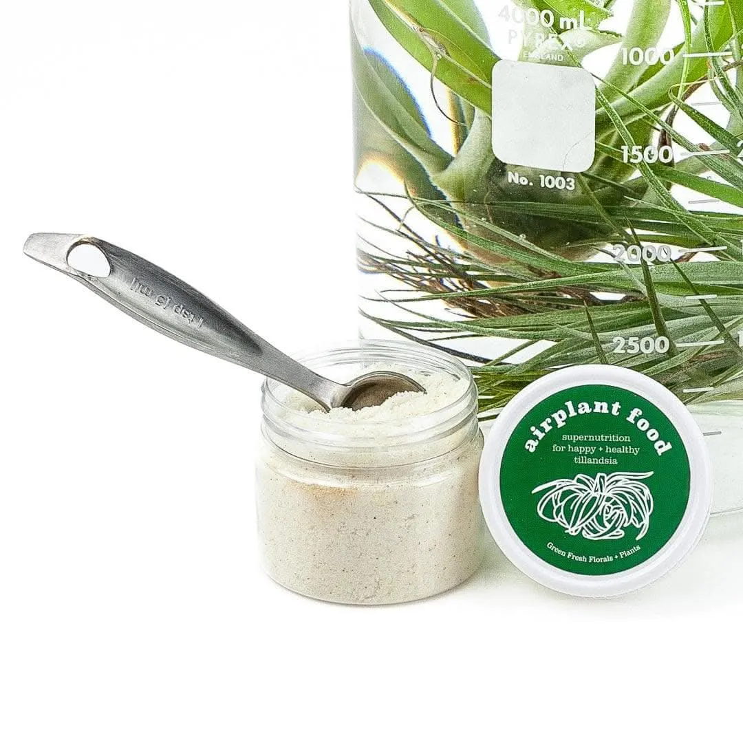 Air Plant Food