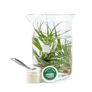 Air Plant Food
