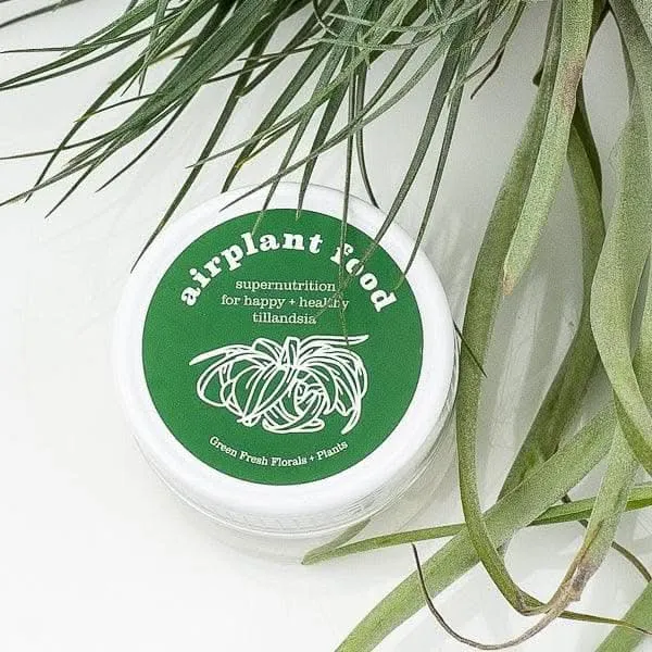 Air Plant Food
