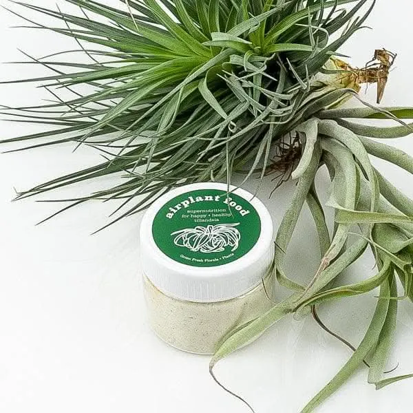 Air Plant Food