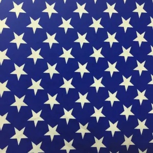 Stars Print Spandex